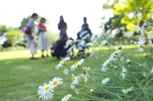 夢占い同級生の夢の意味３１選 異性 同性 再会 好かれる 運気アップしてハッピーを引き寄せる開運ブログ