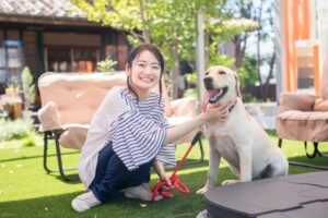 夢占い犬の夢の意味 茶色や白黒やたくさん等５８選の吉凶は 運気アップしてハッピーを引き寄せる開運ブログ